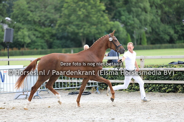 13-07-2019 12:53:57