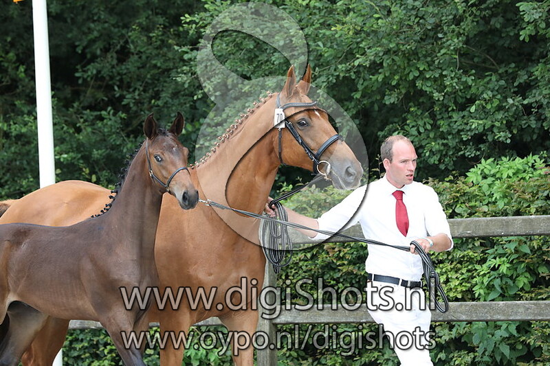 070 Rumiro v. Daily Diamond