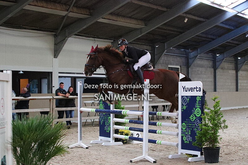 Zilfia's Hoeve Springen Paarden 20-10-2023 110 cm