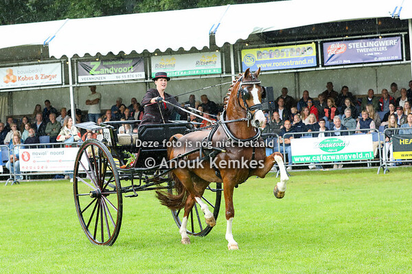 TP Noord KAMPIOENSCHAP DAMES  