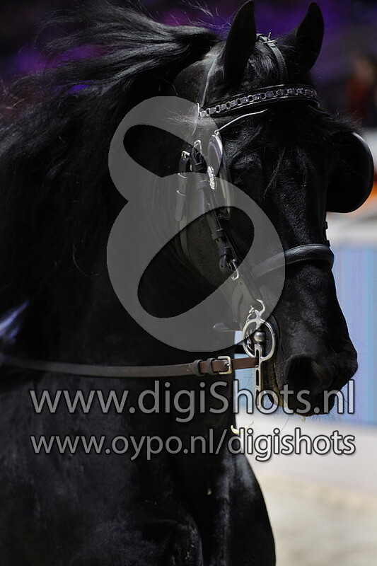 Maurus 441 v. Tsjalke 397