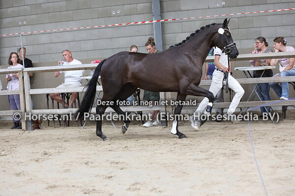 29 Siralien (McLaren x Kyralien v. Dante Weltino)