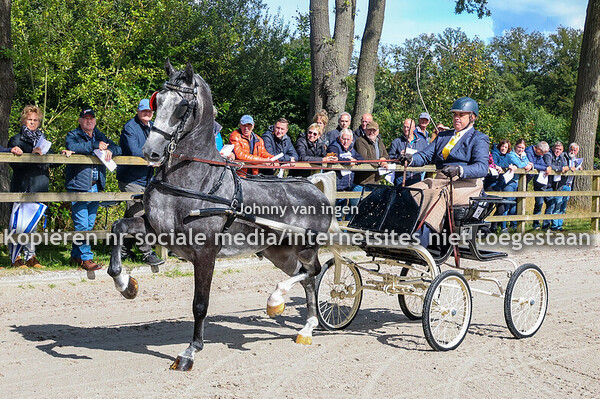 1x voorrijden en herkansing hengsten in het tuig 2024