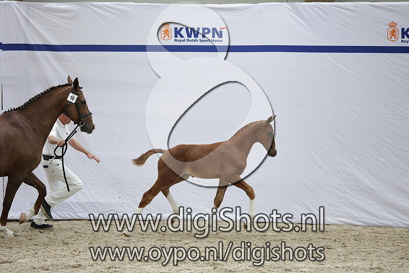 Velasquez v. Tattoo H DB