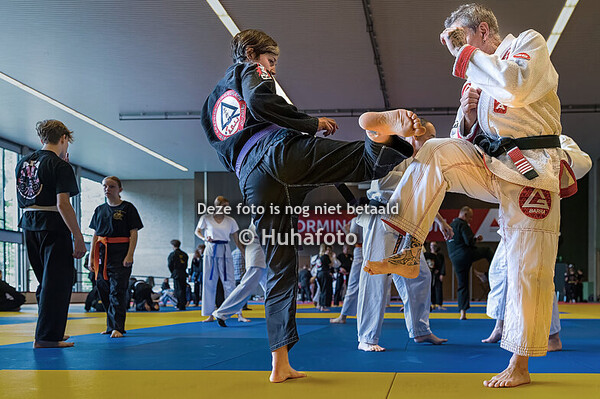 2025-06-07_Oostmalle, Vlaams Gewest, België