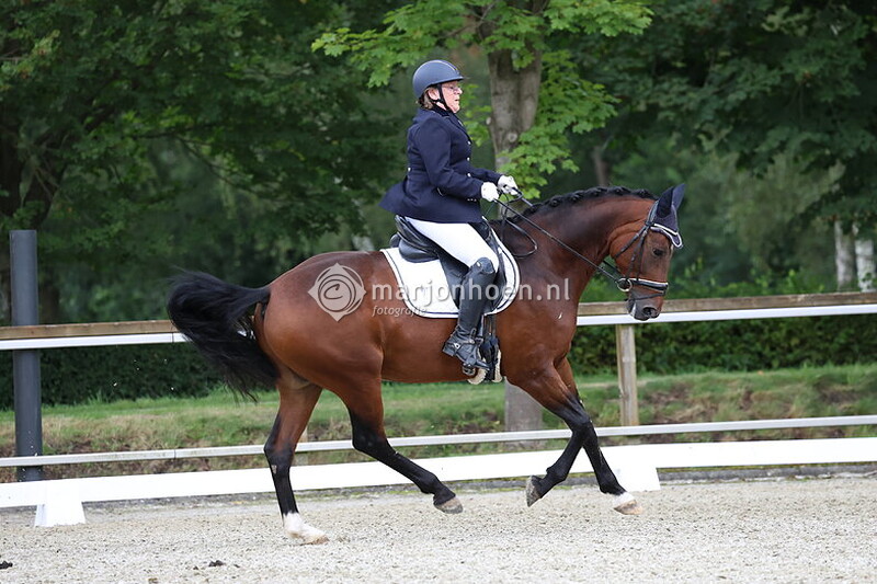 402_Z.STER_B&L_MIDDAG_12SEPT