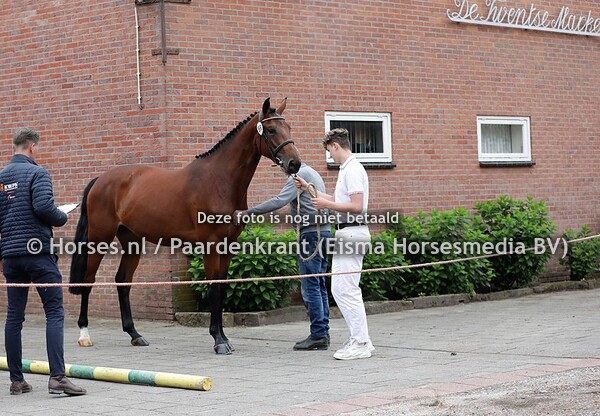 23-06-2021 Stamboekkeuring KWPN Lonneker