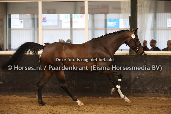 72 Iblesse v Zardando