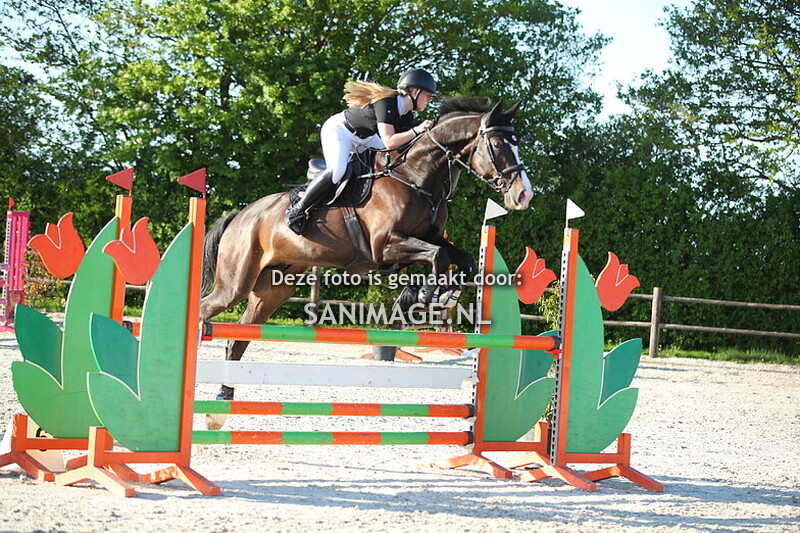 Stal Groenendaal Springen Paarden 29-04-2025 100/110 cm