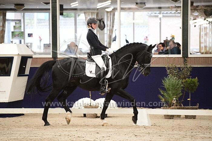 Desire van der Hee - Adventure