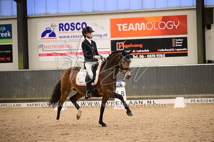 Bo Leijten - Heitholma Li Lou