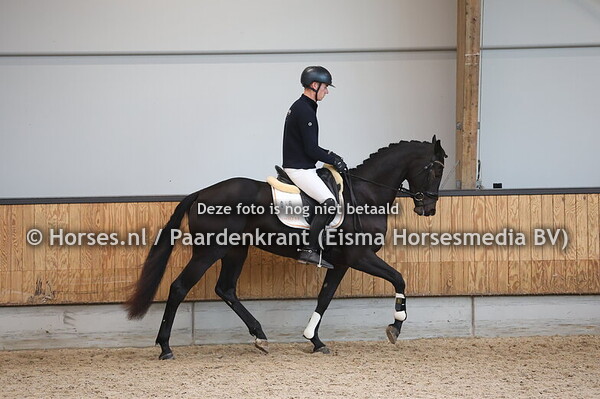 Sareina Elegante vd Terpen