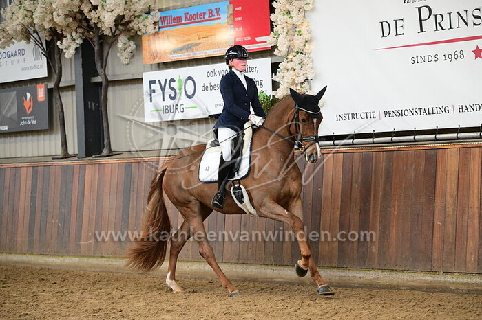 Jet van Lonkhuijzen - Singorita Samba HVR