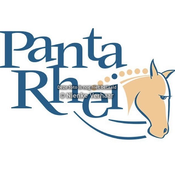 2020-10-10 Indoorwedstrijd Stal Panta Rhei