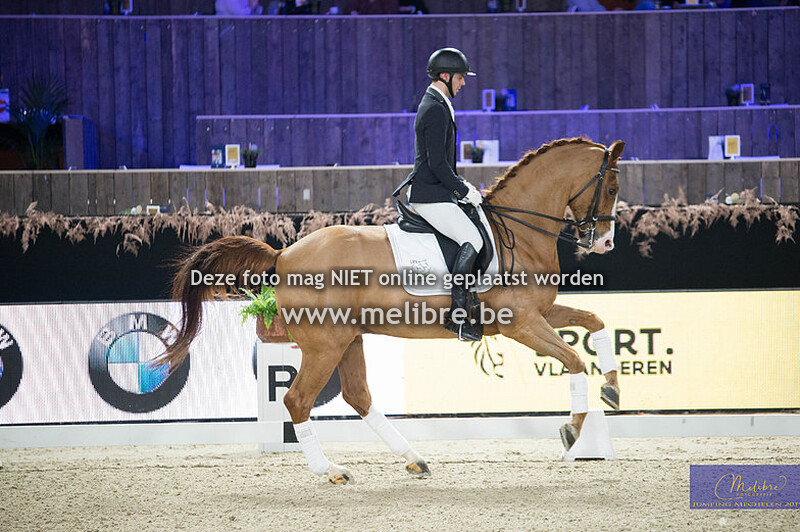 KBC Gouden teugel - LRV Finale ZZ