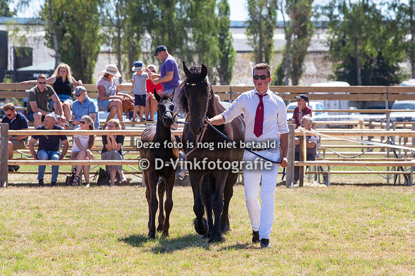 48. Haitske van Rijsingen
