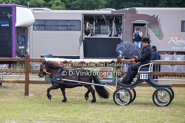 03. Eenspannen Shetlanders groep 1