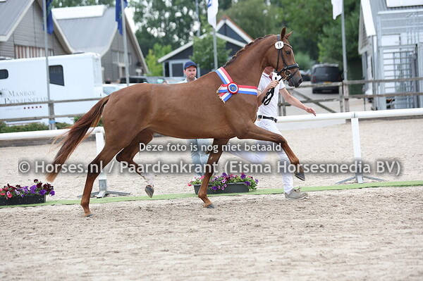 17 en 19-07-25 Delft STBK en CK Zuid Holland