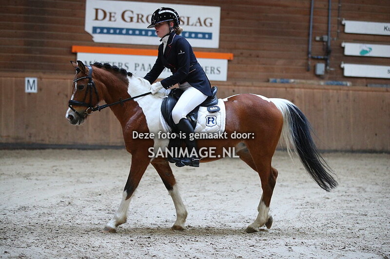 PV Midland Dressuur 23-11-2024 11.15 uur