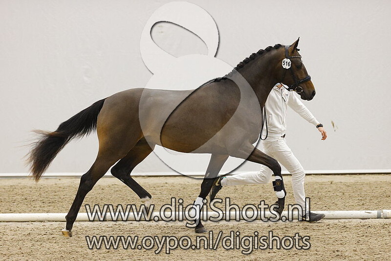 Nique v. Just Wimphof