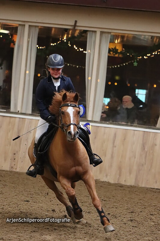 EDR Concours Pony's 04-12- 2022 50-60cm