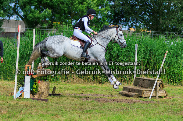 SGW Heerjansdam M-Paard 02-06-24