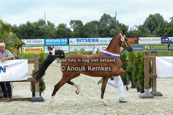 42 - Toline S ( Macho x Eebert )