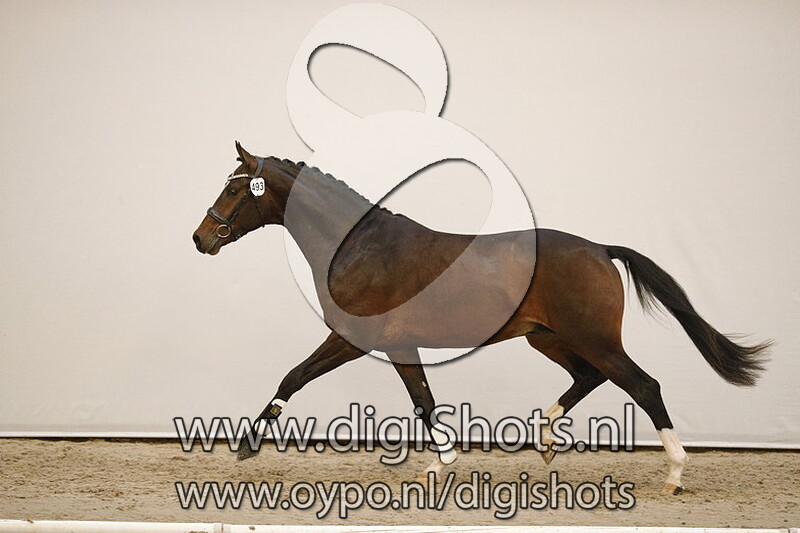 My 7th Sunday v. In Style