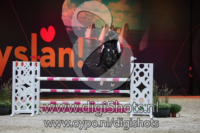 Van Dijk Roofs Corona