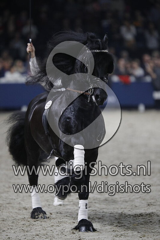 Uitreiking Silver Bowl