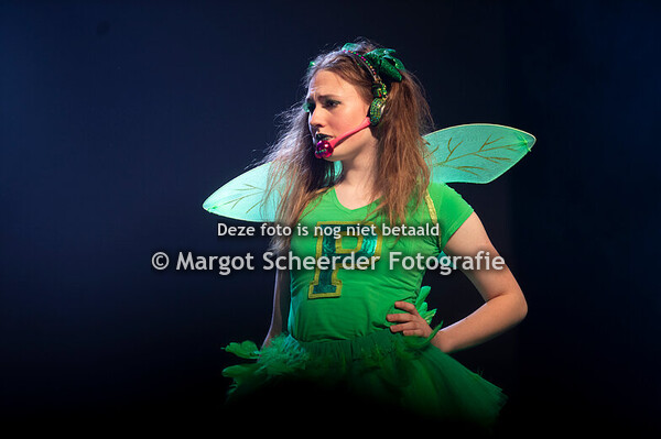 05. Introductie Peter Pan