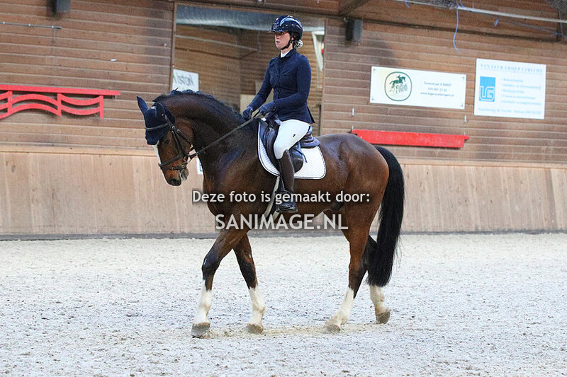 PV Midland Dressuur 13-11-2022 15.20 uur