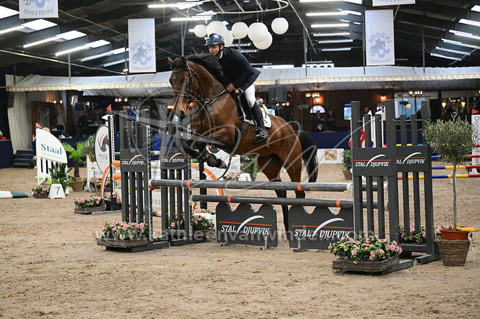 Bahaa Tarek - Pretty Star