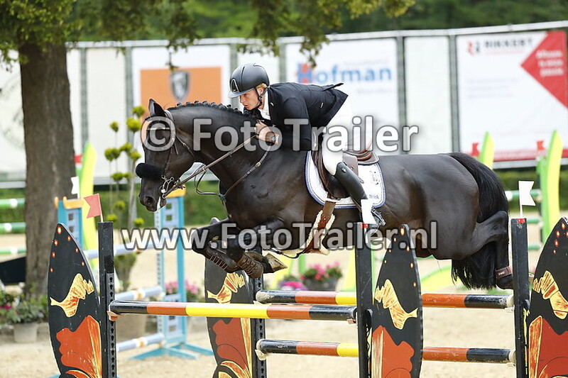 dennis van den brink