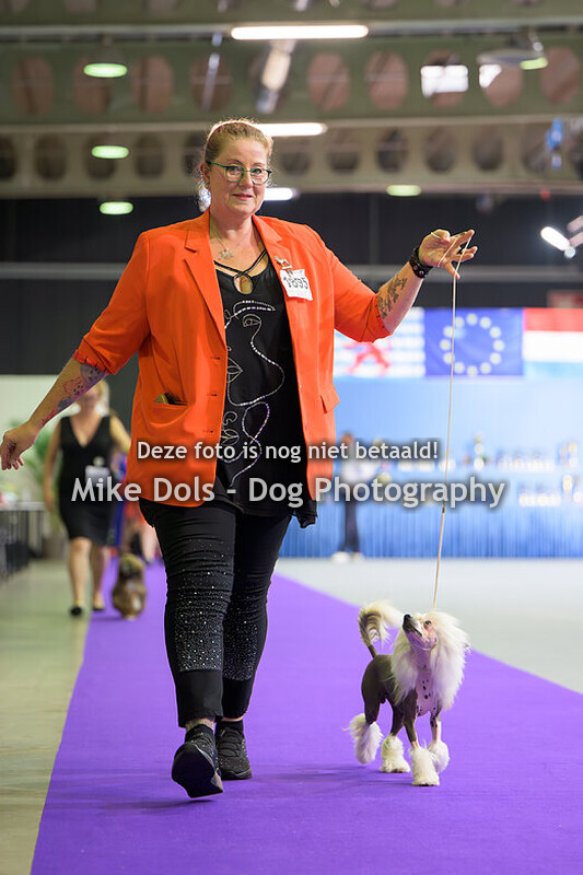 Dogshow Luxemburg - Zaterdag