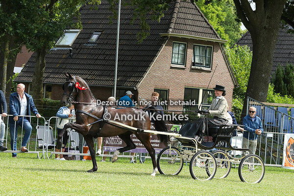 TP Kleine  Limiet groep 2