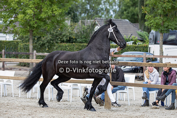 107. Sinne van Stal Lagevoort