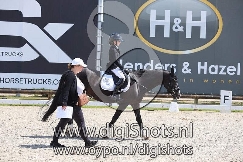 Castenraysewegs Black Pearl