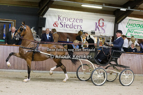 TP nieuweling merries groep 1