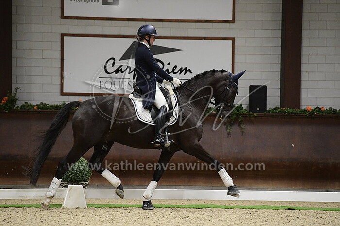 Anniek van Dulst - Kadanz