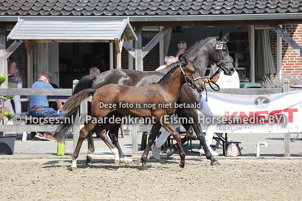 37 Sjique van de Reesterhof