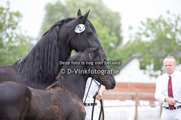 02. Sanro vd Ariaanshoeve