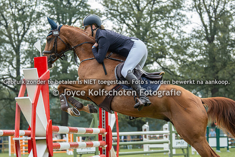 Show Jumping CCI2*-L