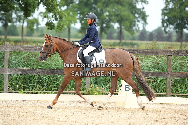 Manege Groenewoude Dressuur 17-08-2025 Ring 2 11.00 - 12.15 uur