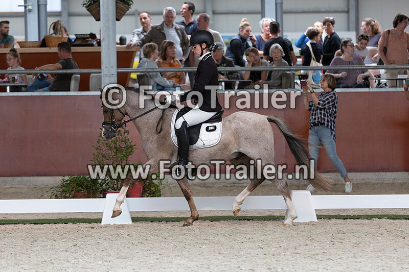 dpc 4 jarige groep 6