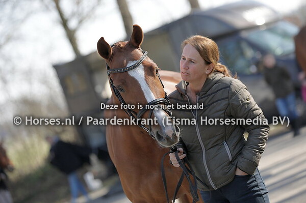 6 Miss Ludine (Arezzo VDL x beauludine v. Numero Uno) Aniek Hop