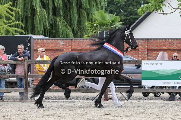 100. Lotte fan Bloemhof