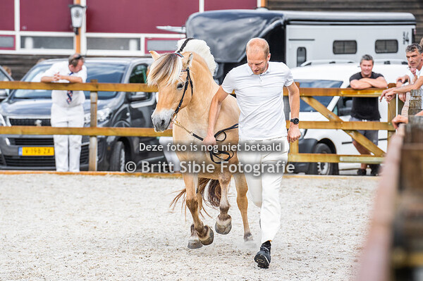 Fjordenkeuring Roden 20-08-2022 - ruinen 3+
