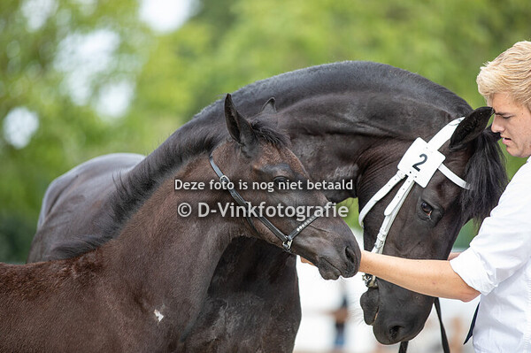 02. Beart van de Meikade