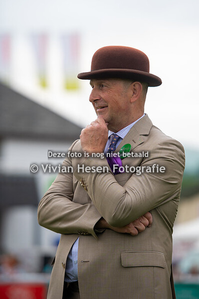 Section B Yearling Colts